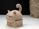 Grumpy Cat "in" a Box-8