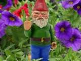  Gnome Rebelde-3