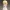 Saber - Fate/Stay Night - wedding chibi