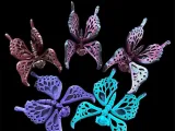 Flutterfly The Butterfly-5