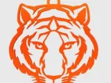 Tiger’s keychain-0