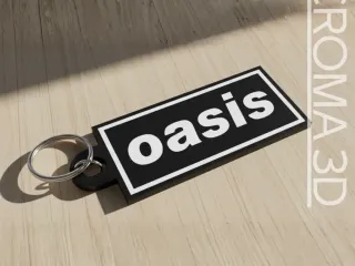 Oasis keychain - multicolor