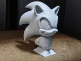 Bust Sonic-0