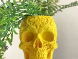 RELIC CALAVERA-2