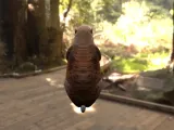 Hamster-3