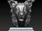 BORDER COLLIE HEAD-3