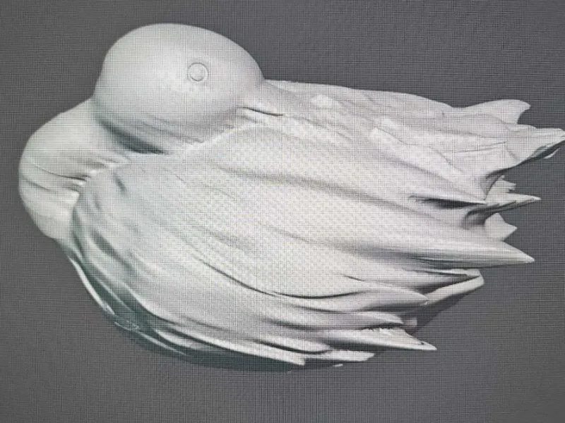 Duck Decoy