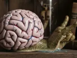FREAK!-0
