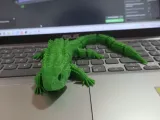 lagarto-0