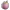 Mangosteen
