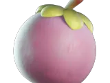 Mangosteen-0