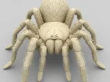 Tarantula-0