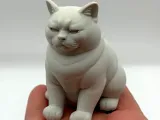 Not Amused Cat-0