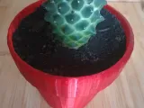 FLOWER POT-2