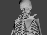 Skeleton HD-1