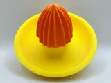 Juice Extractor-2