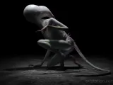Alien Covenent Neomorph-0