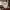 Santa Claus Bust - Christmas Decoration