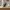 Minimalist Cat Figurine