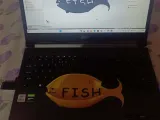 Fish Container -0