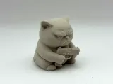 Grumpy Cat with a Gun-4