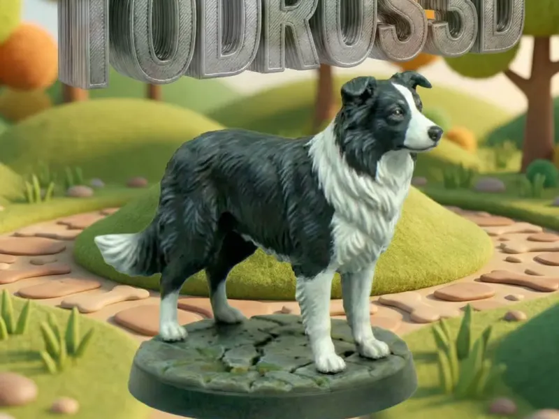 Realistic Border Collie Dog