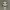 Funko Roro - Velada V