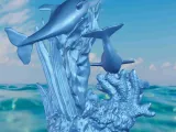 Dolphin seaweed-2