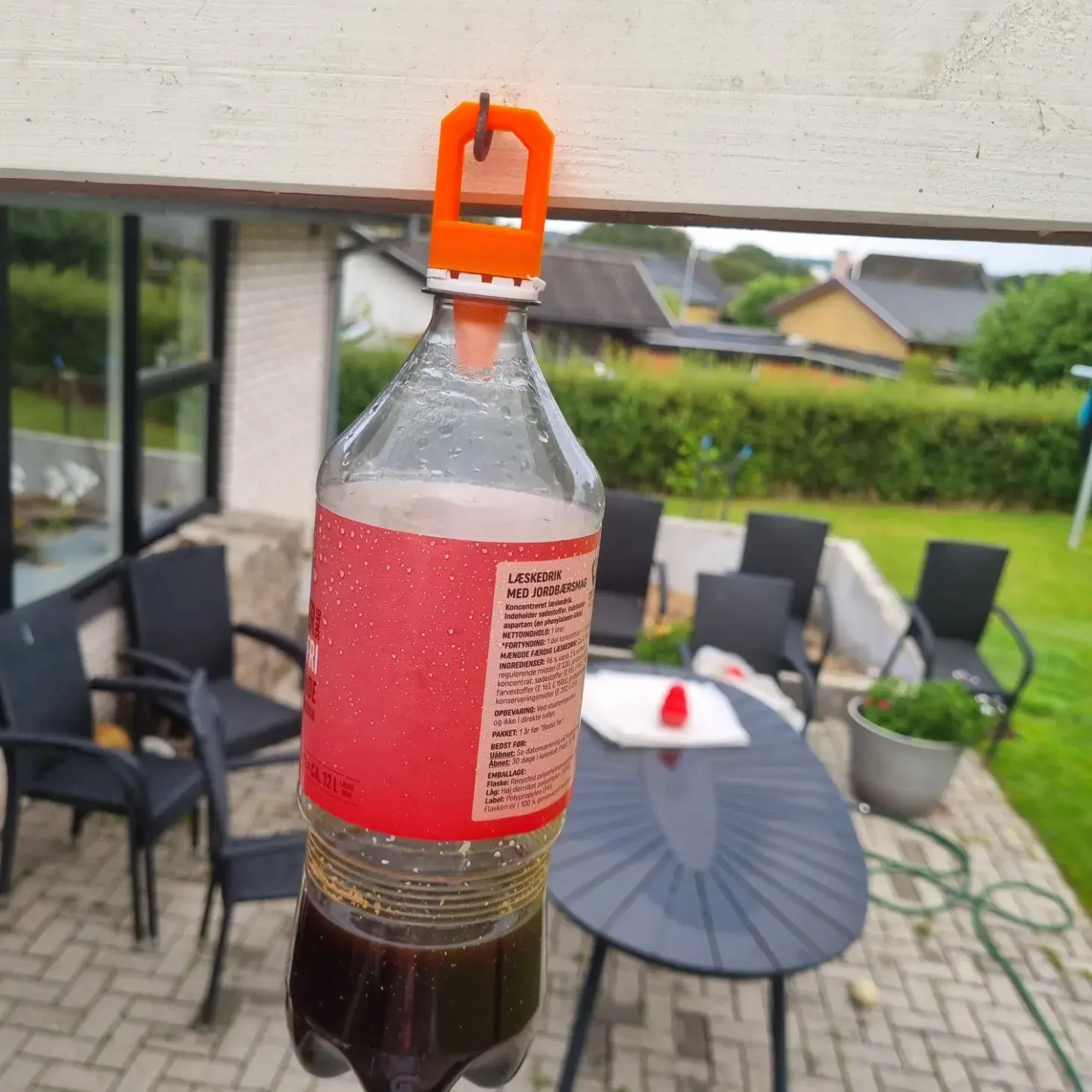 Wasp Trap For Bottles
