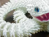 snake-0