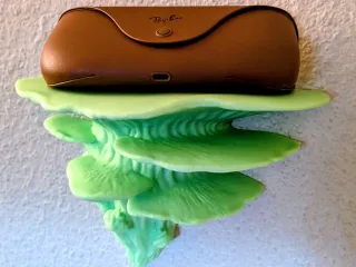 Mushroom Wall Shelf – Organic Functional Art