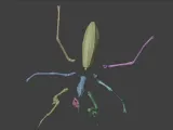 Insect Mantis Assembly Model-4