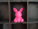 Multifunctional Display Box-0
