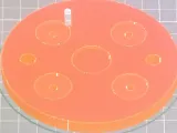 bottom plate-0