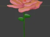 Flower Model-0