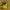 Victreebell Pokemon Chibi