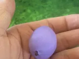 Plumfruit-2
