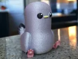 Cute Baby Sitting Pigeon-1