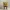 SpongeBob - Low-Poly