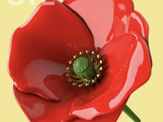 poppy 