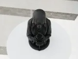 Skeleton Rose-8
