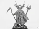 DnD Druid-2