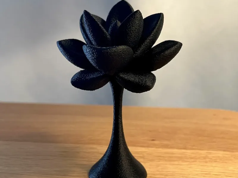 Succulent Decor 1