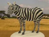 Zebra-0