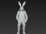 Cyberpunk Rabbit-2
