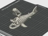 Articulated Skeleton Shark-1