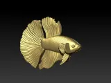 BETTA FISH-3