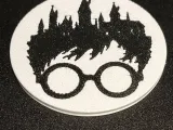 Coaster Harry Explotter-2