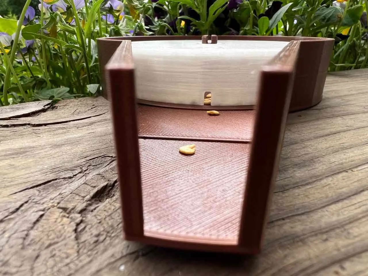 Seed Dispenser