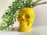 RELIC CALAVERA-7